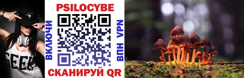 Псилоцибиновые грибы прущие грибы  Тырныауз 