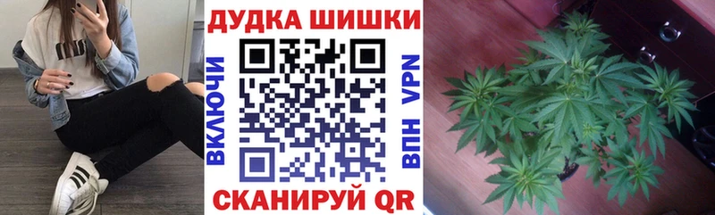 Канабис индика  как найти закладки  Тырныауз 